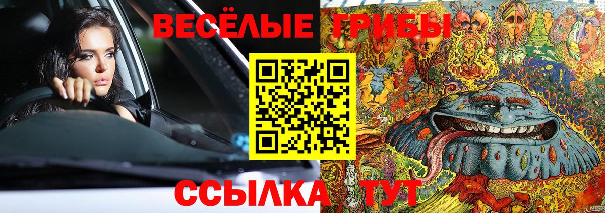 Дубна  Галлюциногенные грибы Psilocybe  Вход с VPN  Галлюциногенные грибы Psilocybine cubensis 